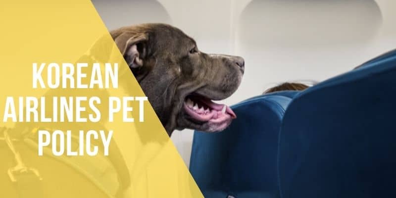 korean airlines pet policy