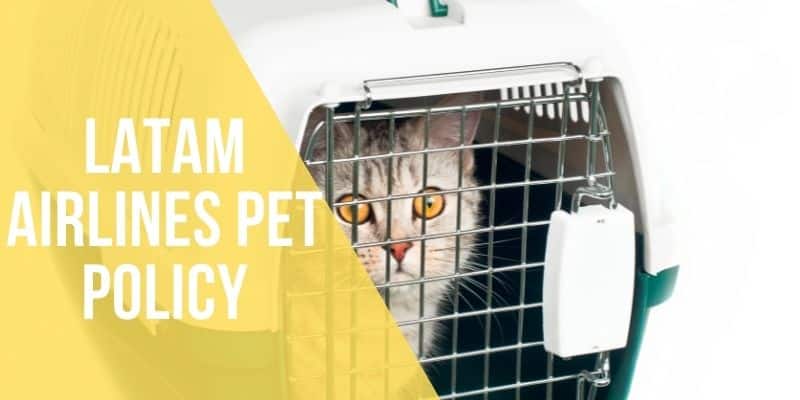 latam airlines pet policy