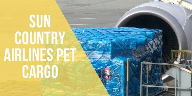 sun country airlines pet cargo