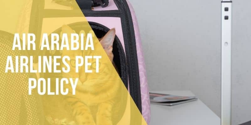 air arabia airlines pet policy