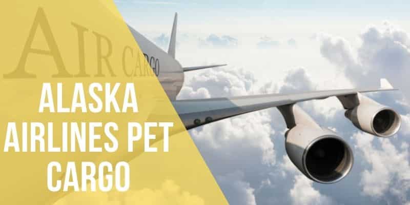 alaska airlines pet cargo