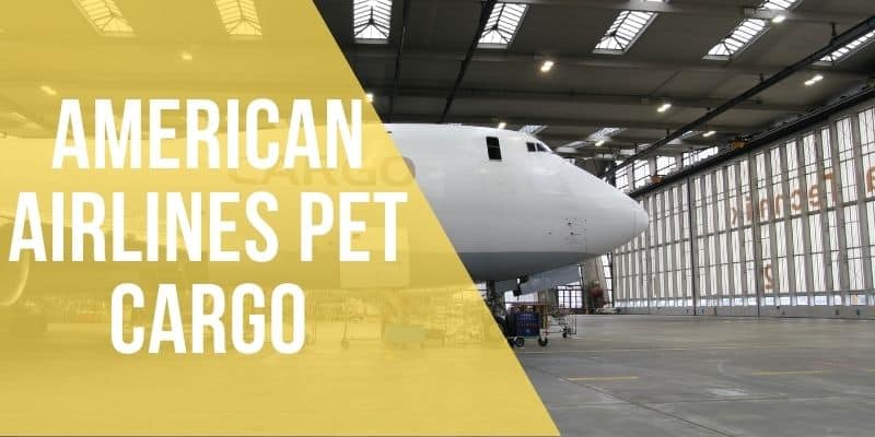 american airlines pet cargo