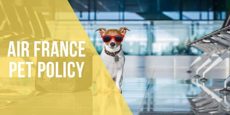 air france pet policy