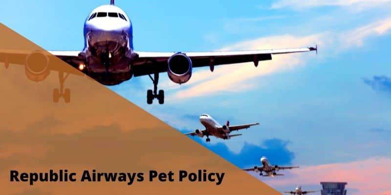 Republic Airways Pet Policy