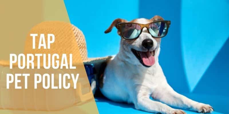 tap portugal pet policy