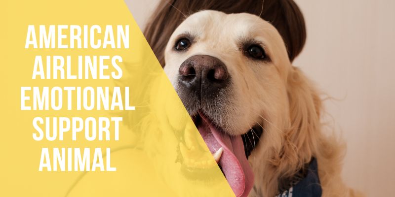 american airlines emotional support animal
