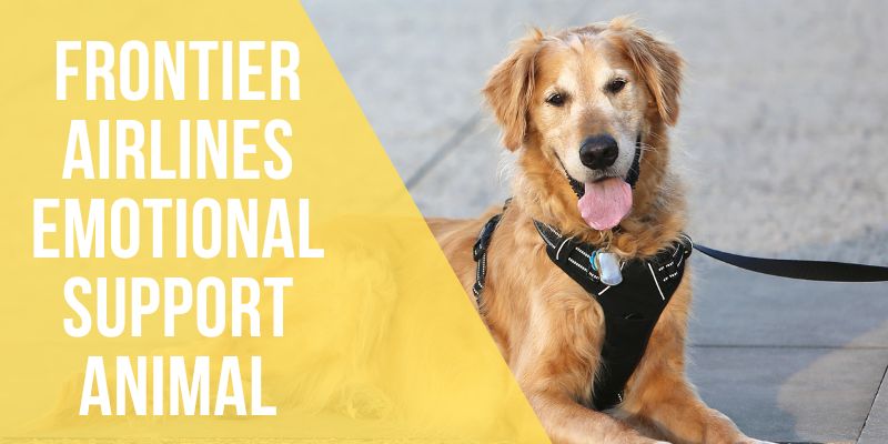 frontier airlines emotional support animal