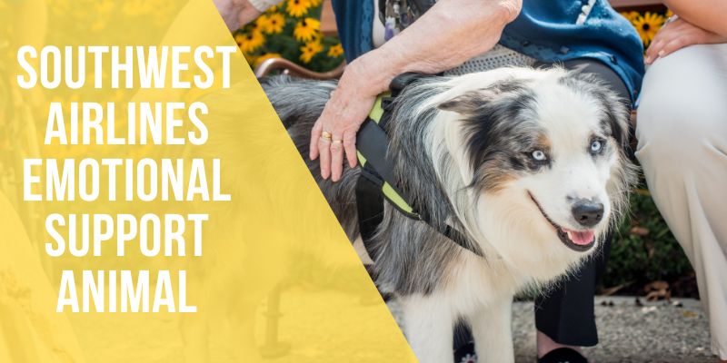 southwest airlines emotional support animal